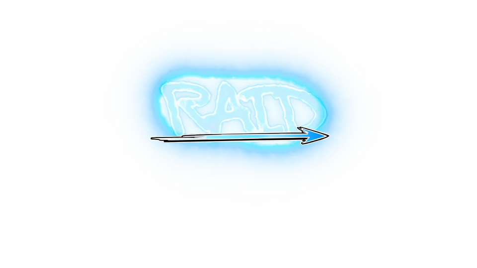 Raid